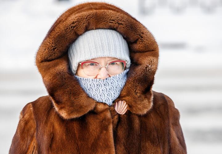 Полицейские задержали 69-летнюю пенсионерку, которая работала на преступников и специально приехала на Кубань из Карелии, чтобы выполнить задание