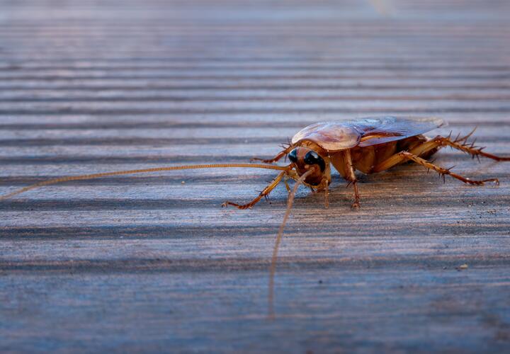 Родители маленьких пациентов в шоке