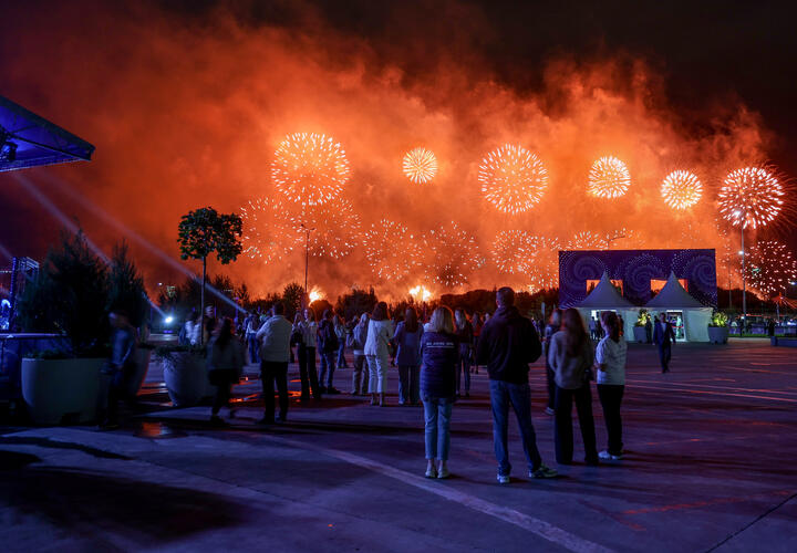 Последствия салютов на Кубани: бездомные собаки ранены, домашние - сбежали 