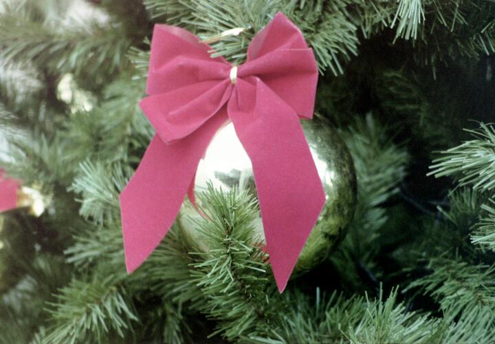 Мероприятия продлятся до 11 января включительно