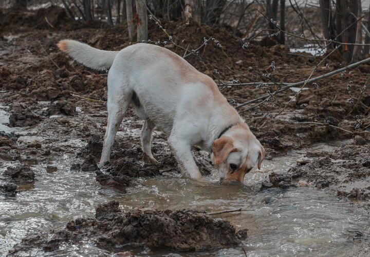 Споры плесени и другие очень токсичные вещества: чем на улице дышат Краснодарцы
