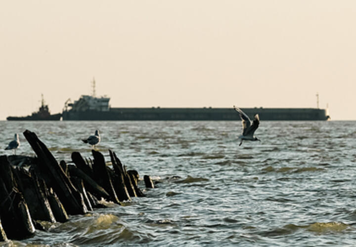 Сухогруз сел на мель у берега в Темрюкском районе Кубани