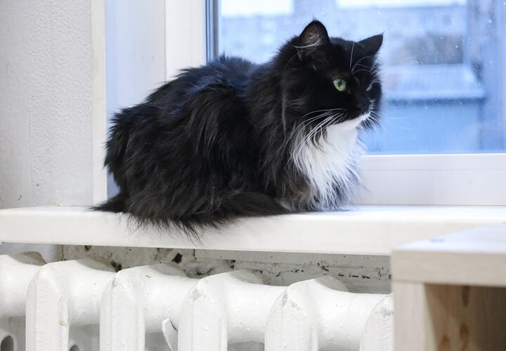 Расскажем, с чем связано повышение