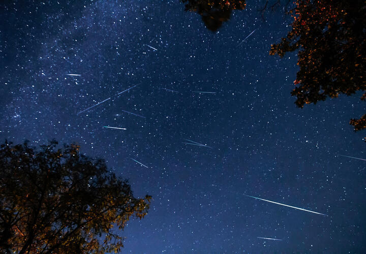 Трудности принесут Овнам новые полезные идеи, Тельцам особенно повезёт в творчестве