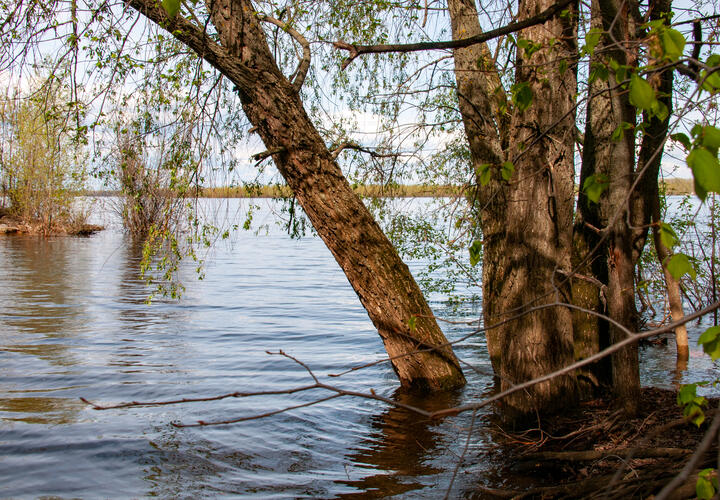 В одном из районов Кубани река опасно вышла из берегов 