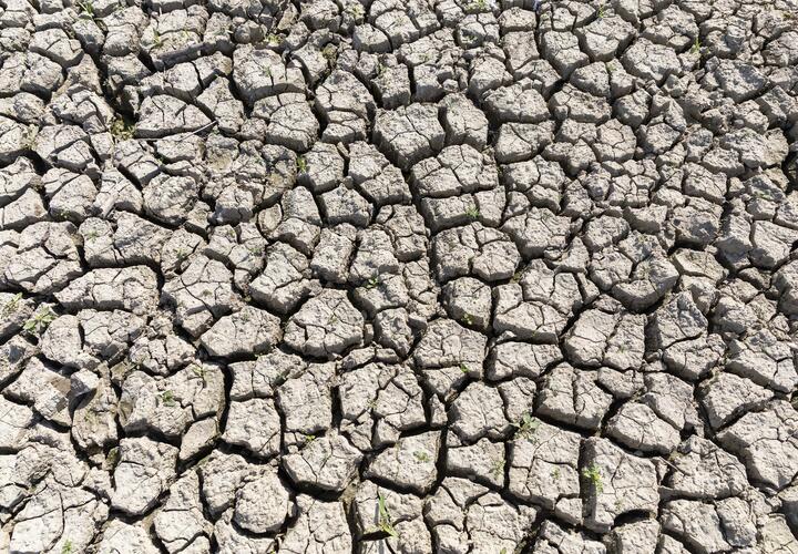 Регион уже выделил более 40 млн рублей из бюджета