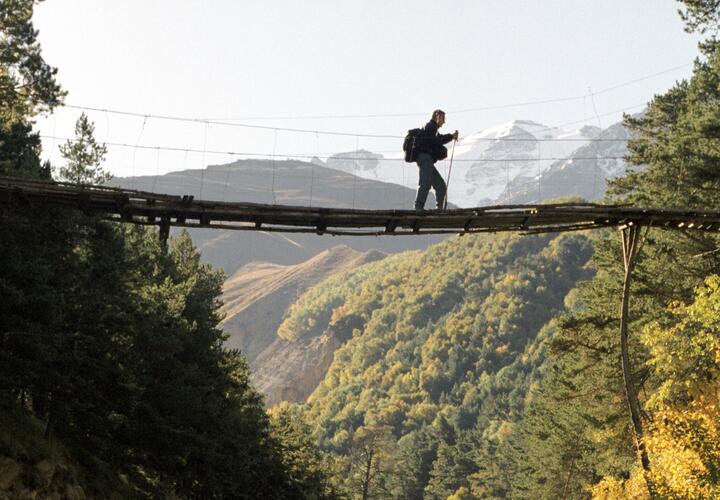 В Сириусе построят самую длинную в Европе подвесную экотропу