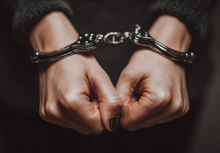 В Сочи арестованы дети депутата Госдумы Дорошенко