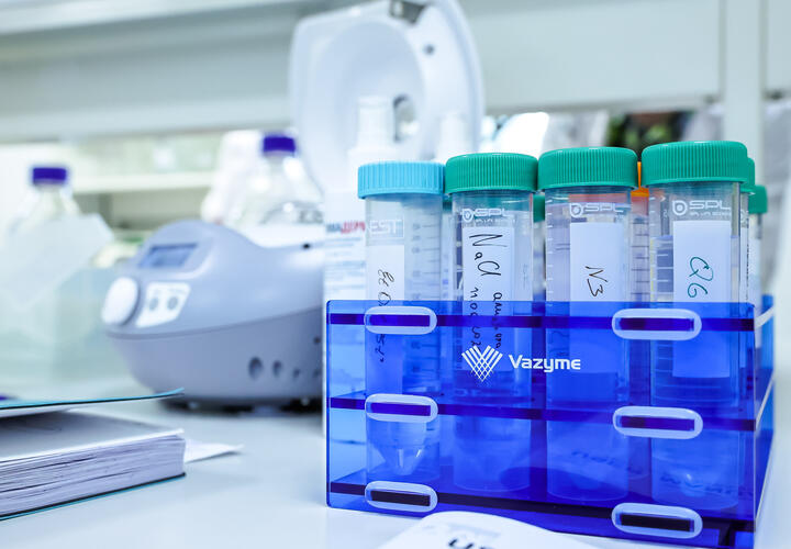 Вирус Нипах