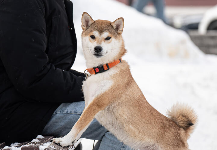 Местные говорят, что сигнал тревоги звучит только после взрывов