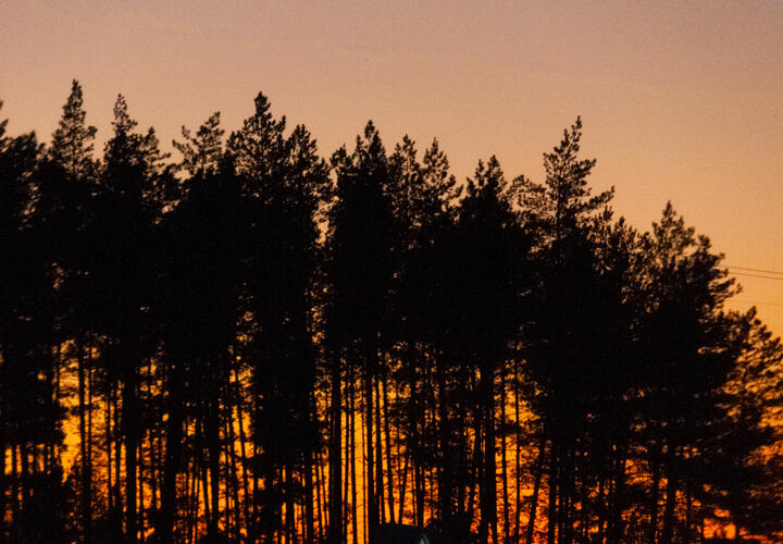 Рейтинг наиболее популярных материалов «Живой Кубани» за сегодня