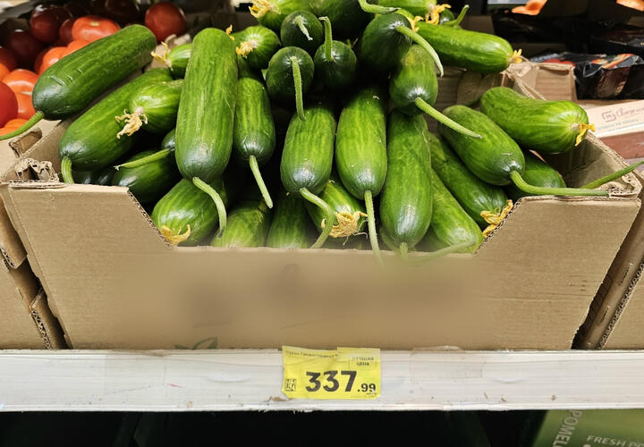 1600 рублей за килограмм огурцов в Якутске, а сколько в Краснодаре? Россияне оказались не готовы к таким ценам