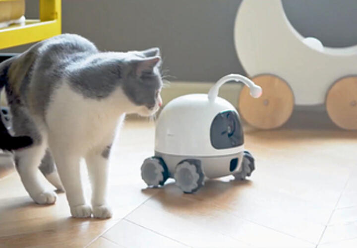 Ад для параноиков: эксперты рассказали о самом неожиданном способе слежки – через умные кормушки