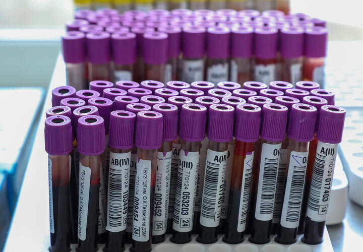 Анализ крови