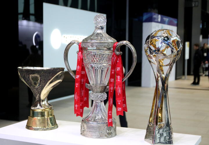 Возбуждено уголовное дело