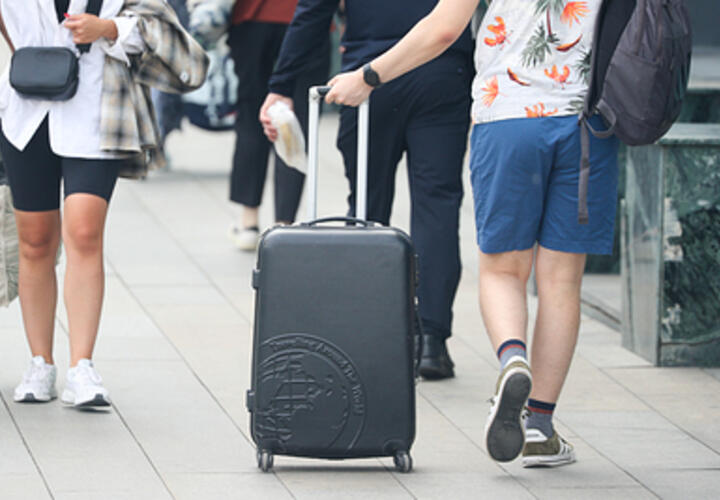 Что важно краснодарским туристам: итоги масштабного опроса