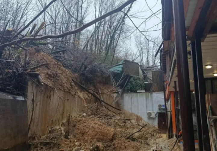 Деревья нависли: в Адлерском районе Сочи сошел оползень