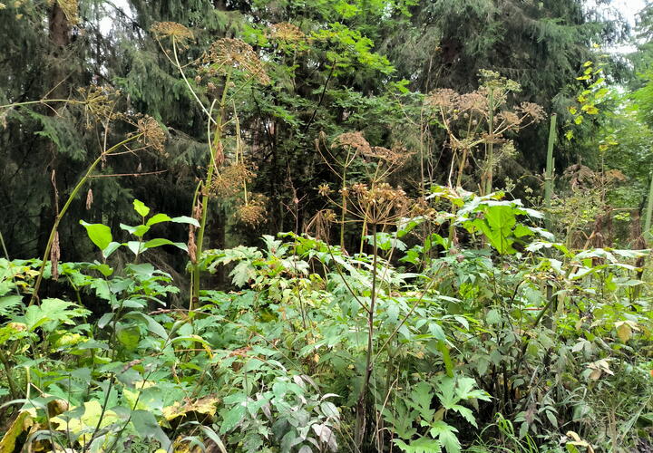 До 700 тысяч рублей: какой штраф грозит россиянам с 1 марта?