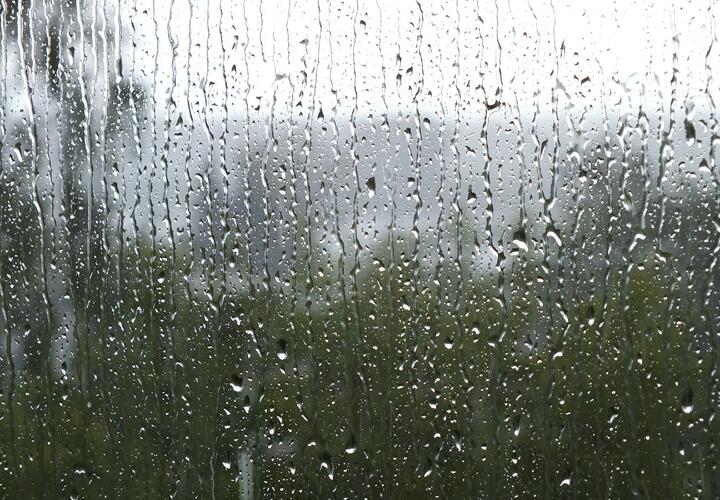 Чего ждать краснодарцам?