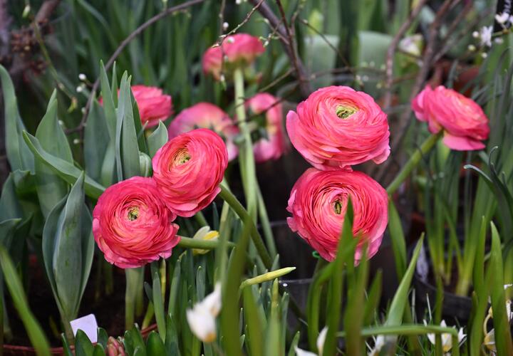 Политик требует вмешательства ФАС