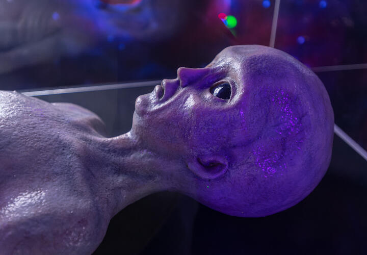 Проверку и публикацию материалов поручили военным ведомствам