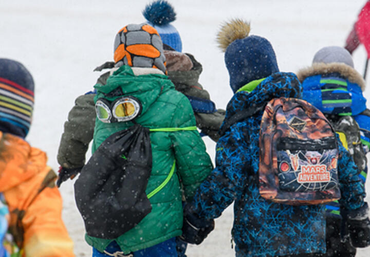 Из-за морозов на юге России школьникам разрешили остаться дома