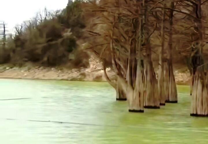 Кипарисовое озеро под Анапой не погибло