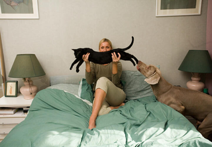Кому особенно полезен сон с кошками, рассказали эксперты