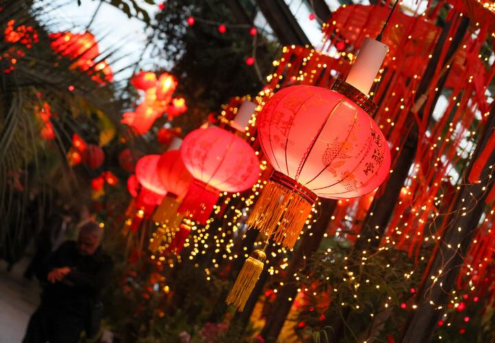 Китайский Новый год