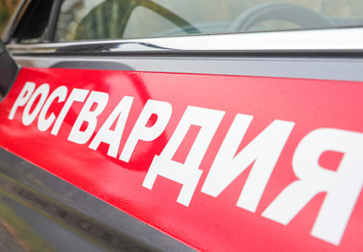 Крики и люди бегут: стрельба произошла возле техникума в Анапе, два человека ранены 