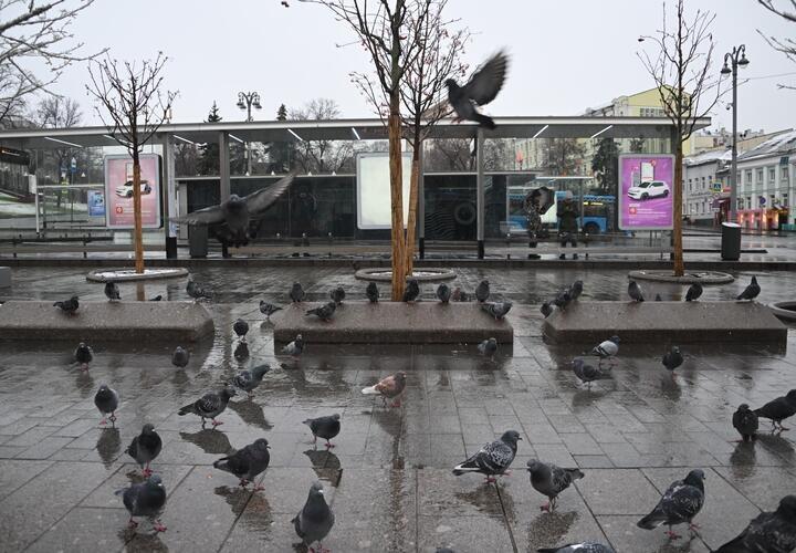 Кубань ожидает похолодание: температура резко понизится 