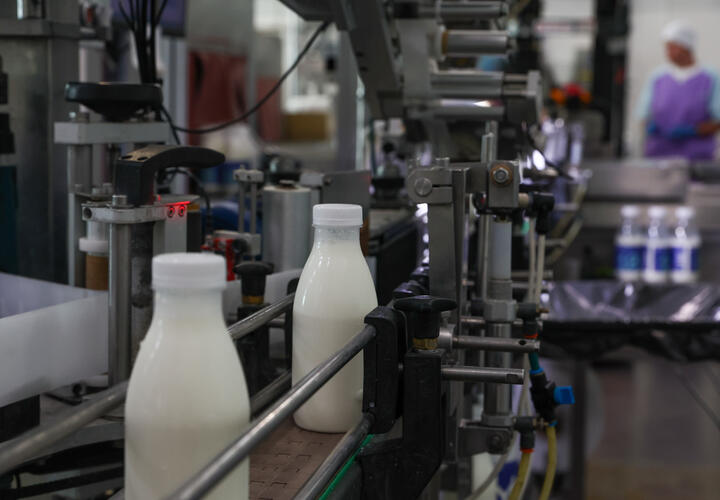 Кубанский маслосырзавод производил и продавал продукты, скрывая истинный их состав