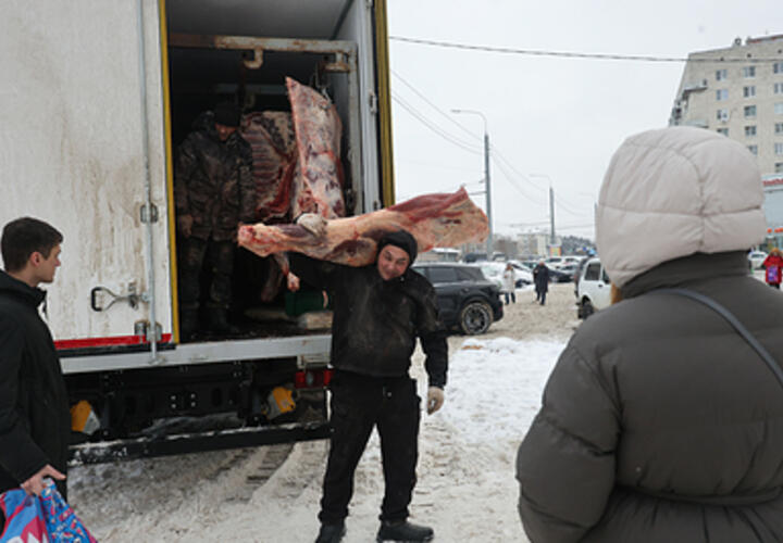 Мясо неизвестного происхождения пытались завезти на Кубань