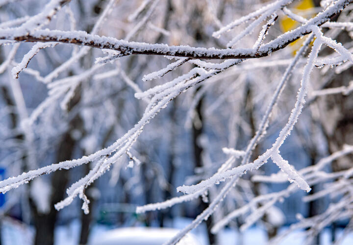 Морозы на Кубани