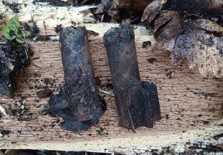 Пугающее видео взрыва: под Новороссийском нашли старую бомбу