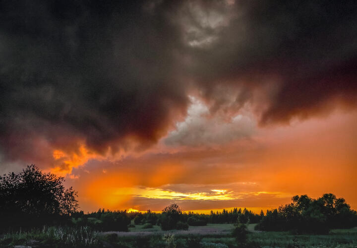 Школьники из Красноярска в тяжёлом состоянии после нападения одноклассницы, в российские войска начал поступать новый тяжёлый FPV-дрон: что произошло, пока вы спали