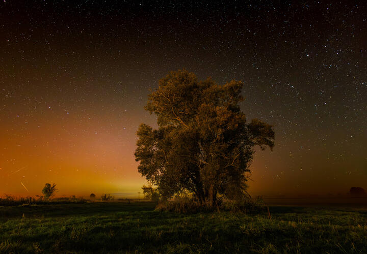 Гороскоп на 28 февраля 2026 года для всех знаков зодиака