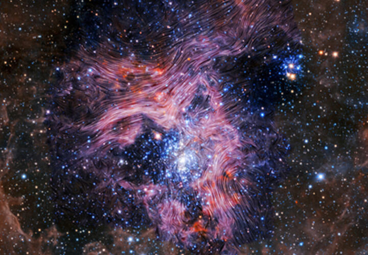 Тельцам лучше воздержаться о т серьезных разговоров, а Девам придется отказаться от решения финансовых вопросов