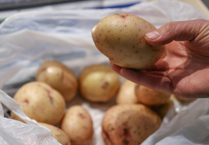 Ухудшит состояние: кому точно нельзя есть картошку, рассказал эксперт