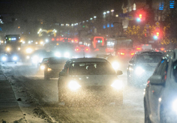 В парке Галицкого в Краснодаре орудуют фотографы с совами, что делать, если нет талонов к врачу: ТОП-5 за 9 февраля