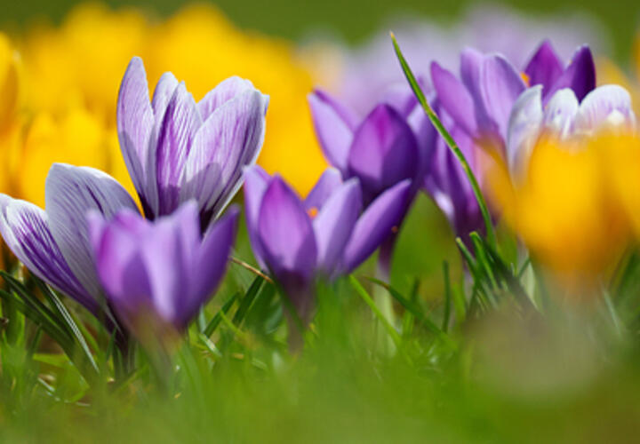 В парке Галицкого в Краснодаре происходят сезонные перемены