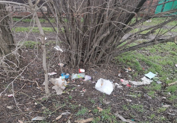 Замусоренный Краснодар планируют начать освобождать от отходов 2 марта