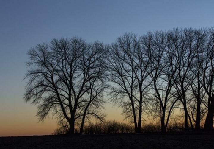Американцы потребовали отправить в Иран младшего сын Трампа, дом певицы Рианны обстреляла женщина: что произошло, пока вы спали