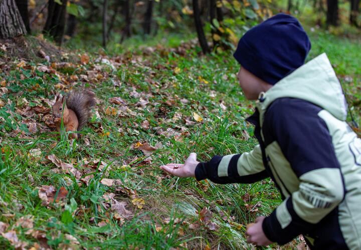 Иногда взрослые знают, как ребёнок пишет контрольные, но не догадываются, не стесняется ли он отпроситься в туалет, спокойно ли моет руки в школе и соблюдает ли базовые правила гигиены вне дома