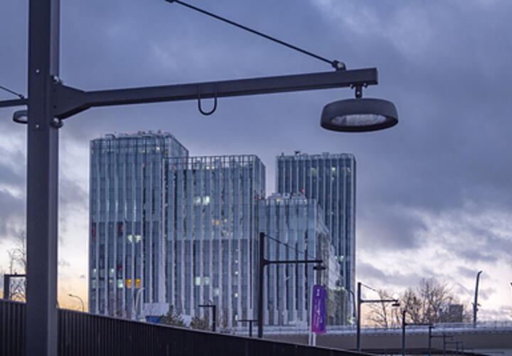 Что происходит с массовым убоем коров, обстоятельства исчезновения 16-летней девушки из Новороссийска: ТОП-5 за 13 марта