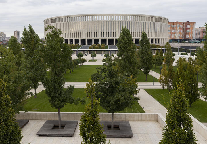 Старейшая гигантская секвойя имеет возраст 3200 лет 