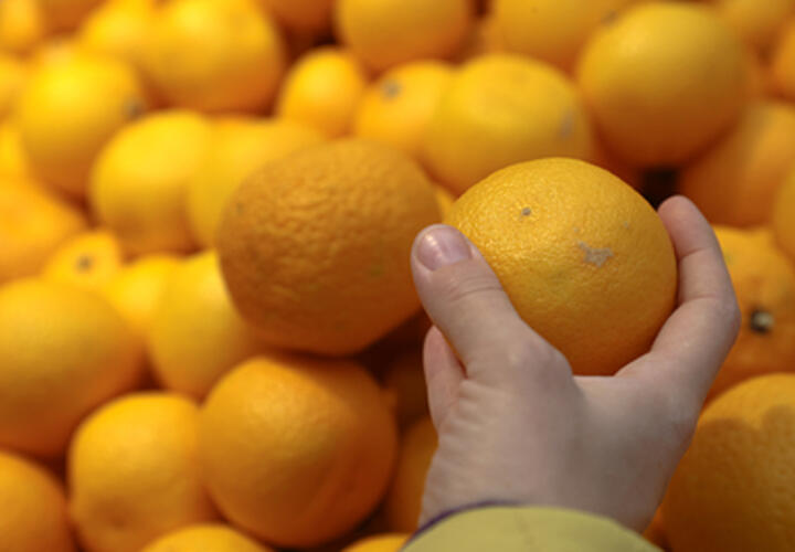 Чёрный сосновый усач забрался в импортные мандарины, которые проверили в Краснодарском крае