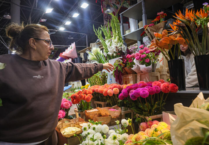 Домашние животные могут умереть от цветов на 8 марта, предупредили ветеринары