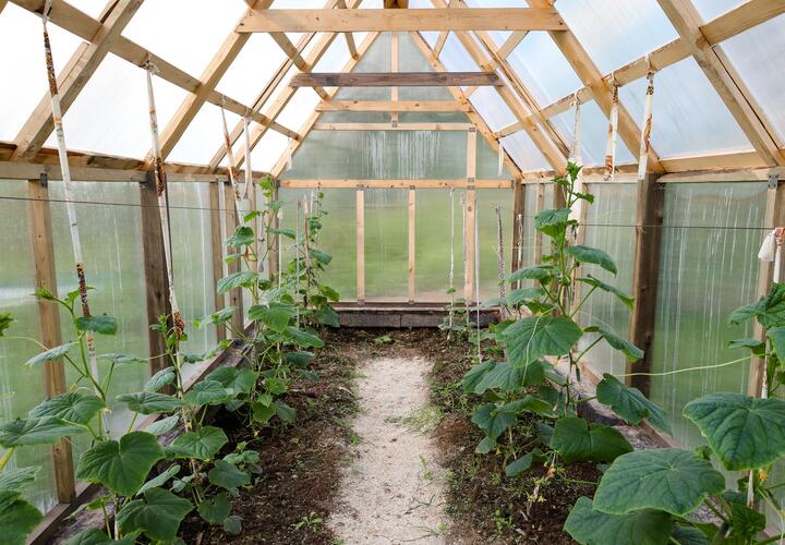 Готовим теплицу