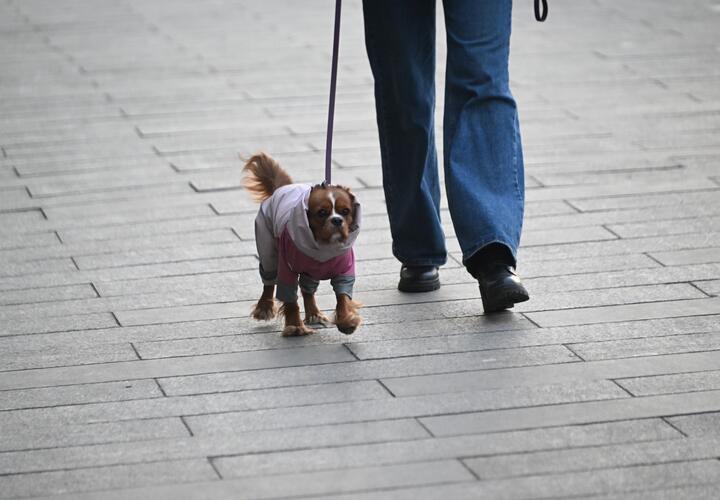 И снова здравствуйте: в Краснодарском крае пойдёт снег. Прогноз погоды на неделю со 2 по 8 марта
